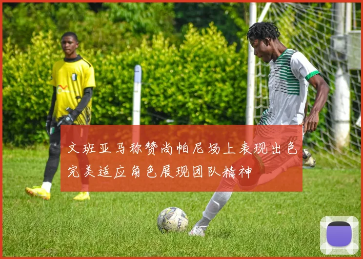 文班亚马称赞尚帕尼场上表现出色完美适应角色展现团队精神